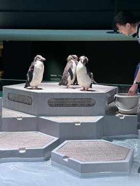 AOAO SAPPOROに投稿された画像（2023/8/26）