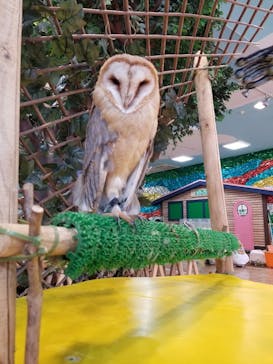 いきもの探検隊上尾に投稿された画像（2023/8/26）