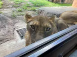天王寺動物園に投稿された画像（2023/8/26）