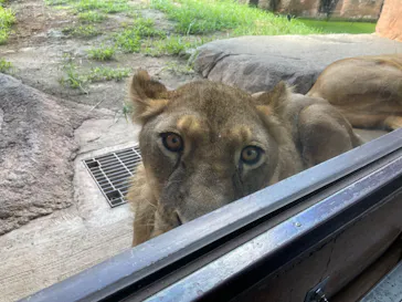 天王寺動物園に投稿された画像（2023/8/26）
