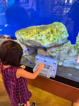 南知多ビーチランド＆南知多おもちゃ王国に投稿された画像（2023/8/26）