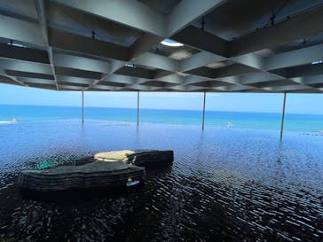 上越市立水族博物館 うみがたりに投稿された画像（2023/8/26）