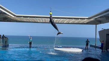 上越市立水族博物館 うみがたりに投稿された画像（2023/8/26）