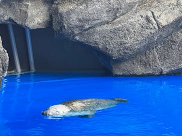 上越市立水族博物館 うみがたりに投稿された画像（2023/8/26）