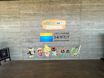 上越市立水族博物館 うみがたりに投稿された画像（2023/8/26）