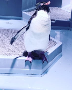 AOAO SAPPOROに投稿された画像（2023/8/26）