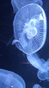 AOAO SAPPOROに投稿された画像（2023/8/26）