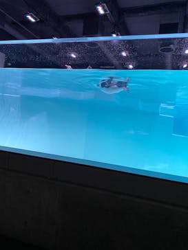 AOAO SAPPOROに投稿された画像（2023/8/26）