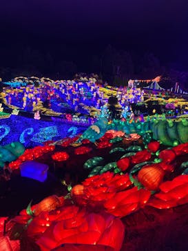 伊豆ぐらんぱる公園に投稿された画像（2023/8/26）