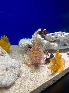 サンシャイン水族館に投稿された画像（2023/8/26）