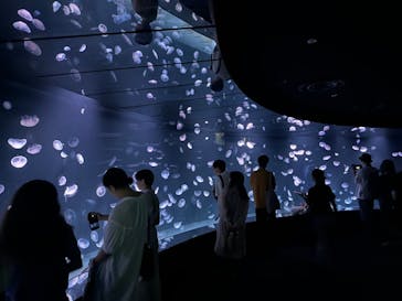 サンシャイン水族館に投稿された画像（2023/8/26）