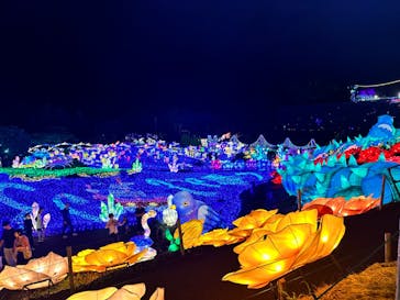 伊豆ぐらんぱる公園に投稿された画像（2023/8/26）