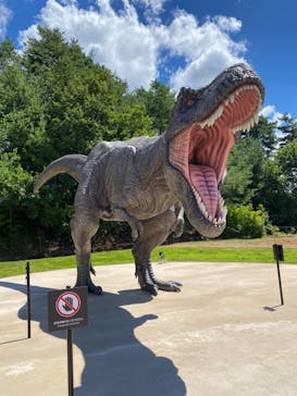 福井県立恐竜博物館に投稿された画像（2023/8/26）