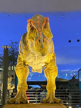 福井県立恐竜博物館に投稿された画像（2023/8/26）