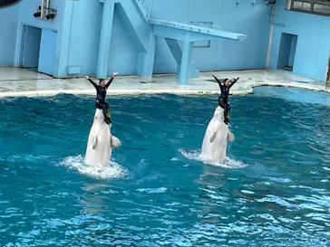 横浜・八景島シーパラダイスに投稿された画像（2023/8/26）