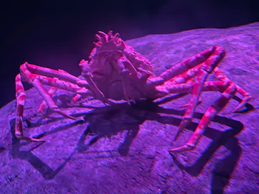 横浜・八景島シーパラダイスに投稿された画像（2023/8/26）