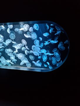 AOAO SAPPOROに投稿された画像（2023/8/26）