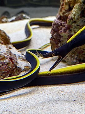 AOAO SAPPOROに投稿された画像（2023/8/26）