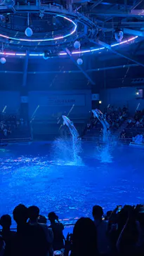 マクセル アクアパーク品川に投稿された画像（2023/8/26）