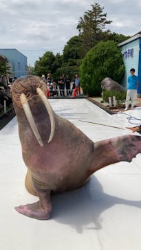 南知多ビーチランド＆南知多おもちゃ王国に投稿された画像（2023/8/26）