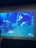 仙台うみの杜水族館に投稿された画像（2023/8/26）