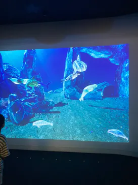仙台うみの杜水族館に投稿された画像（2023/8/26）