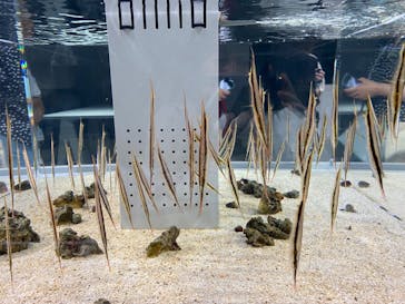 AOAO SAPPOROに投稿された画像（2023/8/26）