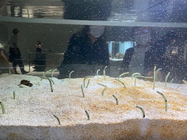 AOAO SAPPOROに投稿された画像（2023/8/26）