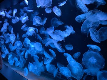 AOAO SAPPOROに投稿された画像（2023/8/26）