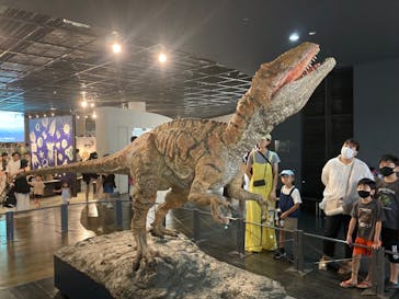 福井県立恐竜博物館に投稿された画像（2023/8/26）