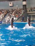 マクセル アクアパーク品川に投稿された画像（2023/8/26）