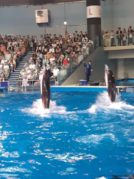 マクセル アクアパーク品川に投稿された画像（2023/8/26）