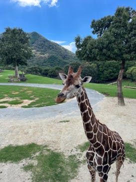 姫路セントラルパークに投稿された画像（2023/8/26）