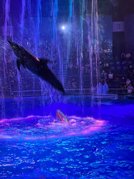 マクセル アクアパーク品川に投稿された画像（2023/8/26）