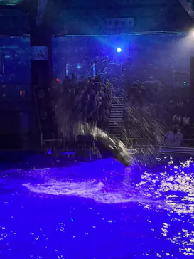 マクセル アクアパーク品川に投稿された画像（2023/8/26）