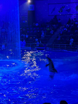 マクセル アクアパーク品川に投稿された画像（2023/8/26）