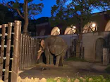 よこはま動物園ズーラシアに投稿された画像（2023/8/27）