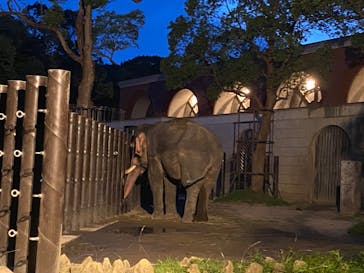 よこはま動物園ズーラシアに投稿された画像（2023/8/26）