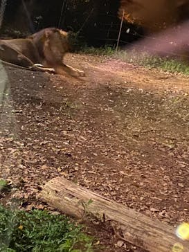 よこはま動物園ズーラシアに投稿された画像（2023/8/26）