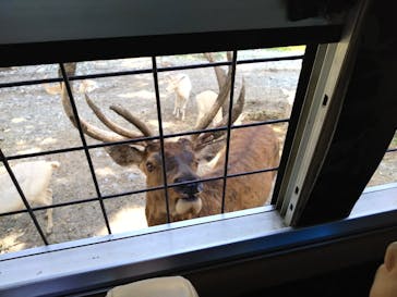 那須サファリパークに投稿された画像（2023/8/26）