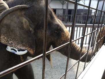 那須サファリパークに投稿された画像（2023/8/26）