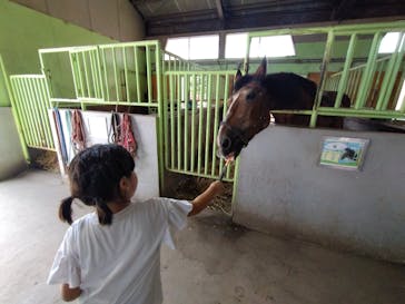 那須高原りんどう湖ファミリー牧場に投稿された画像（2023/8/26）