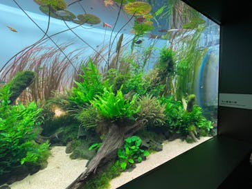 AOAO SAPPOROに投稿された画像（2023/8/26）