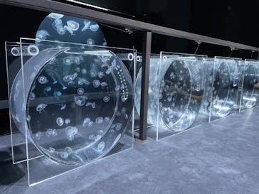 AOAO SAPPOROに投稿された画像（2023/8/26）