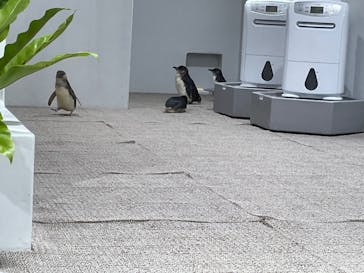 AOAO SAPPOROに投稿された画像（2023/8/26）