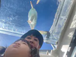 サンシャイン水族館に投稿された画像（2023/8/27）