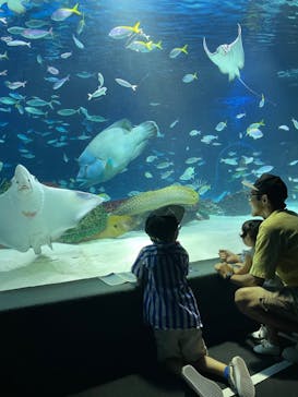 サンシャイン水族館に投稿された画像（2023/8/26）