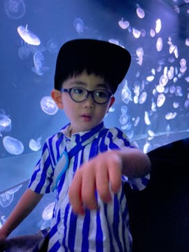 サンシャイン水族館に投稿された画像（2023/8/26）