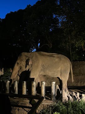 到津の森公園に投稿された画像（2023/8/26）