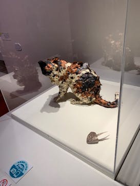 あべのハルカス美術館に投稿された画像（2023/8/26）